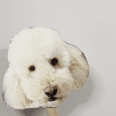 7.5" Wide Face Poster - Cardstock